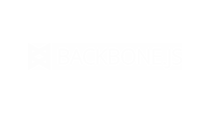 Backbone/Parse             